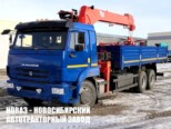 Бортовой автомобиль КАМАЗ 65117-3010-48 с манипулятором Hangil HGC 976 до 8 тонн (фото 1)