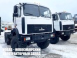 Седельный тягач МАЗ 6317F9 с нагрузкой на ССУ до 18 тонн (фото 1)